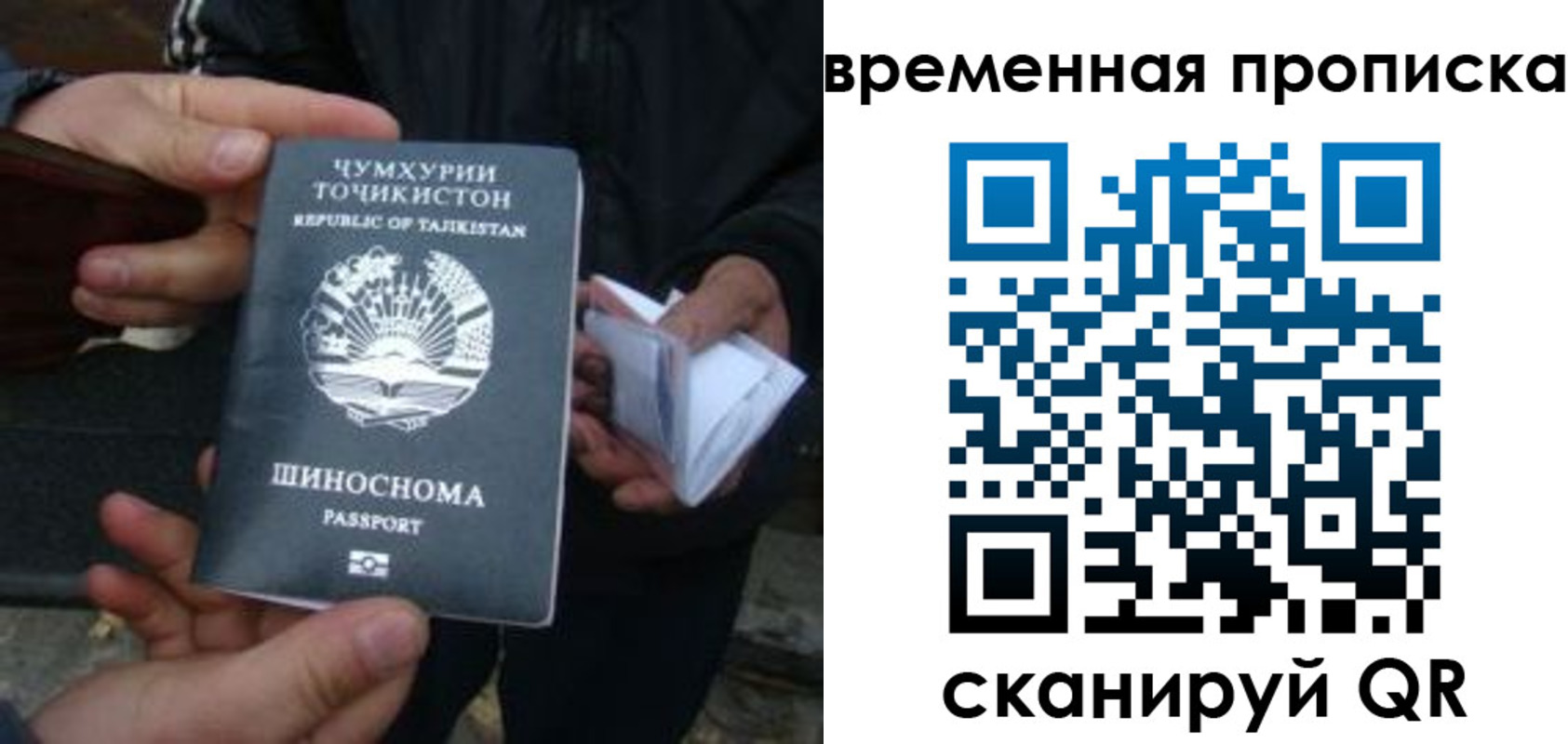 прописка законно в Ейске